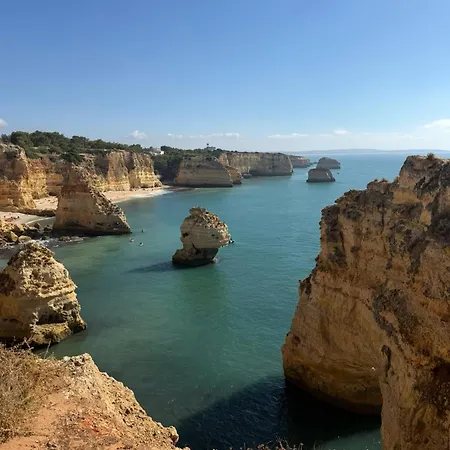 Apartamento Suncoast Escape *