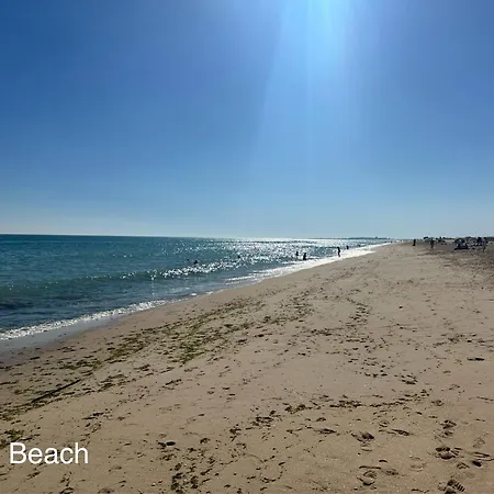 Suncoast Escape