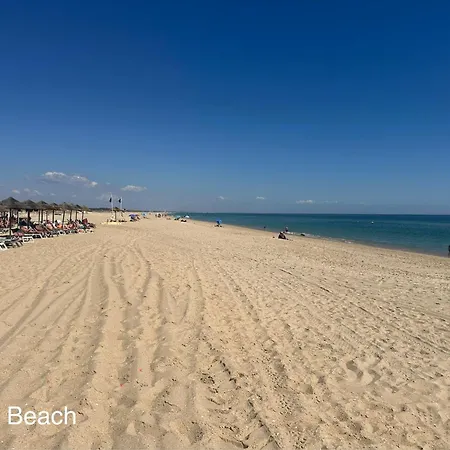 Suncoast Escape Apartamento